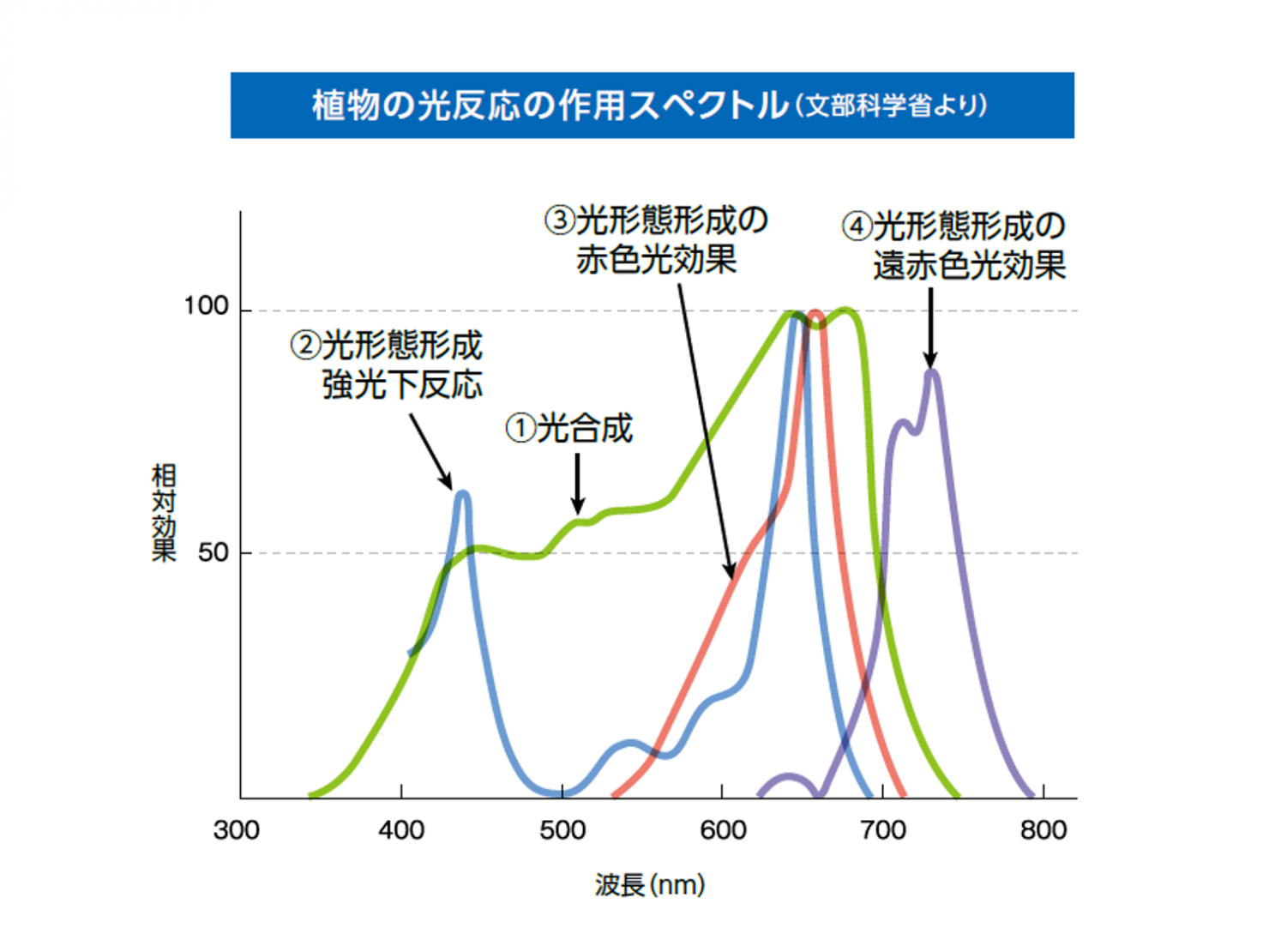 農業用led電球 農作物 植物育成用led電球 セイコーエコロジア