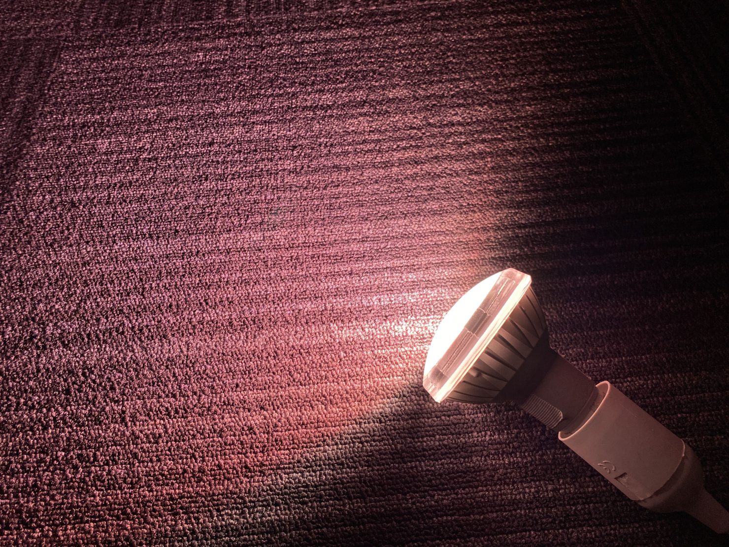 いちご用LED電球イメージ