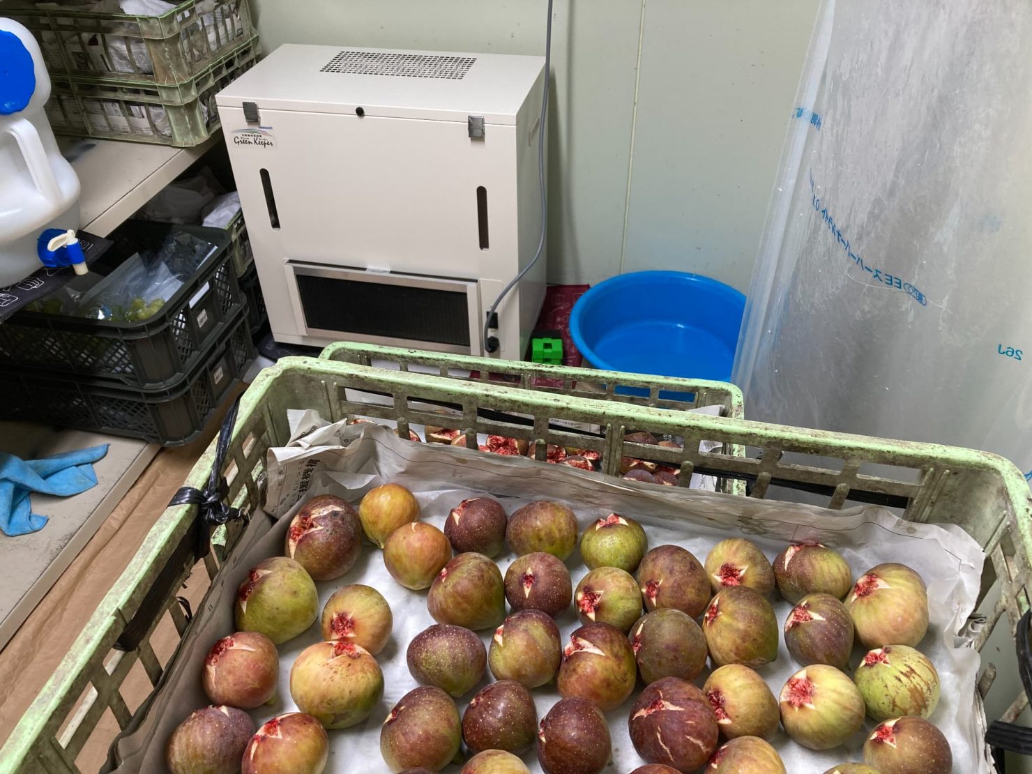 導入事例：グリーンキーパー（イメージ）