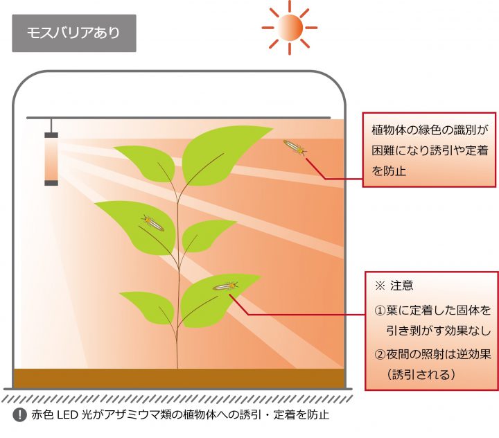 モスバリア アザミウマ ヨトウムシ 夜蛾対策の防虫灯 セイコーエコロジア