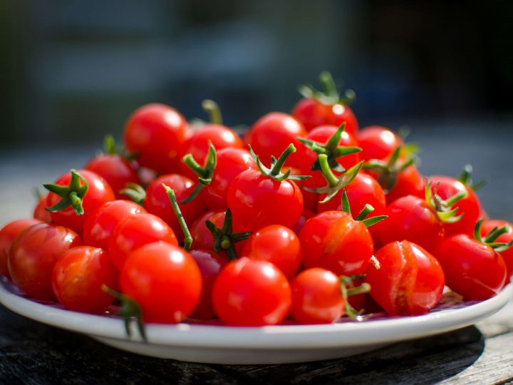 トマトをオオタバコガの被害から守るには 見分け方と駆除方法を解説 コラム セイコーエコロジア