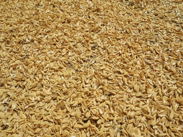 籾殻連続燻炭装置｜処分に困る籾殻を燻炭化｜セイコーエコロジア