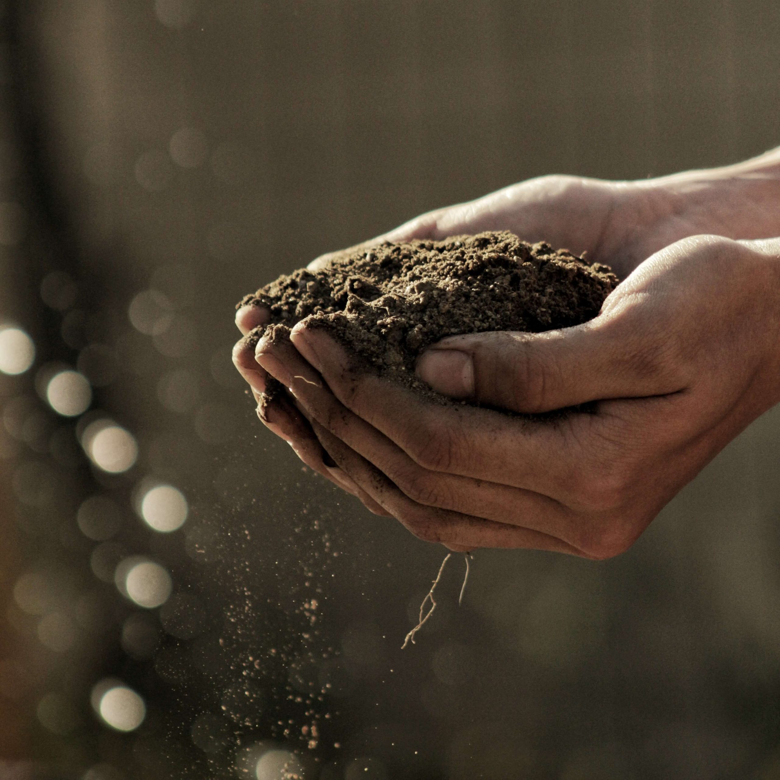 団粒構造とは 植物が良く育つ土壌に必要な要素と土の作り方 コラム セイコーエコロジア