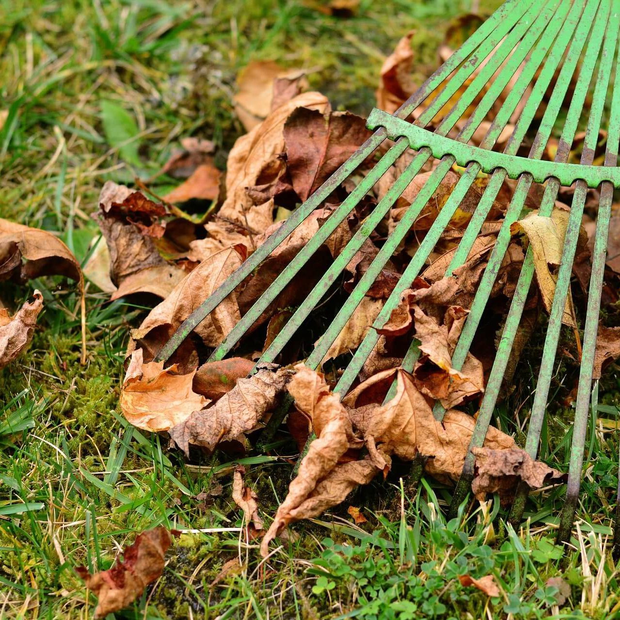 落ち葉ブロワーの使い方 効率の良い清掃を目指して コラム セイコーエコロジア