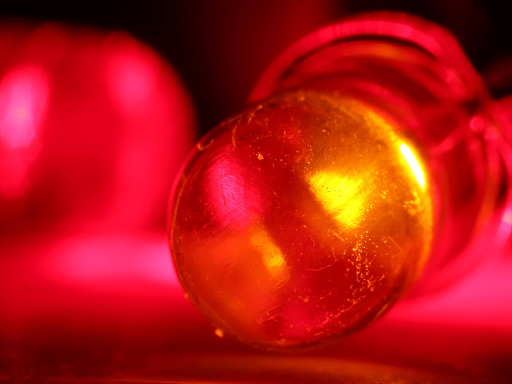 Ledで虫除けが出来る 昆虫と光の不思議な関係 コラム セイコーエコロジア