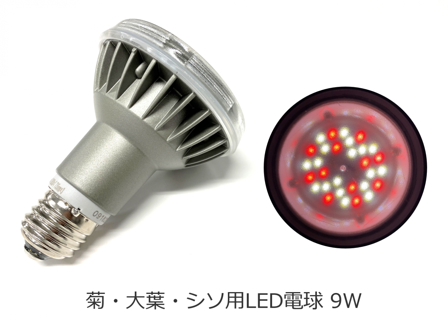 農業用LED電球（イメージ）