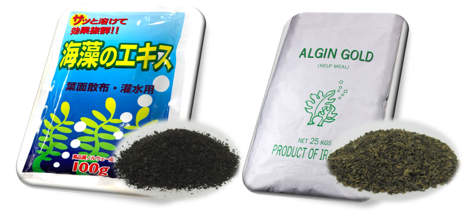 りんご栽培に最適な肥料をご紹介｜美味しいりんごを収穫しよう