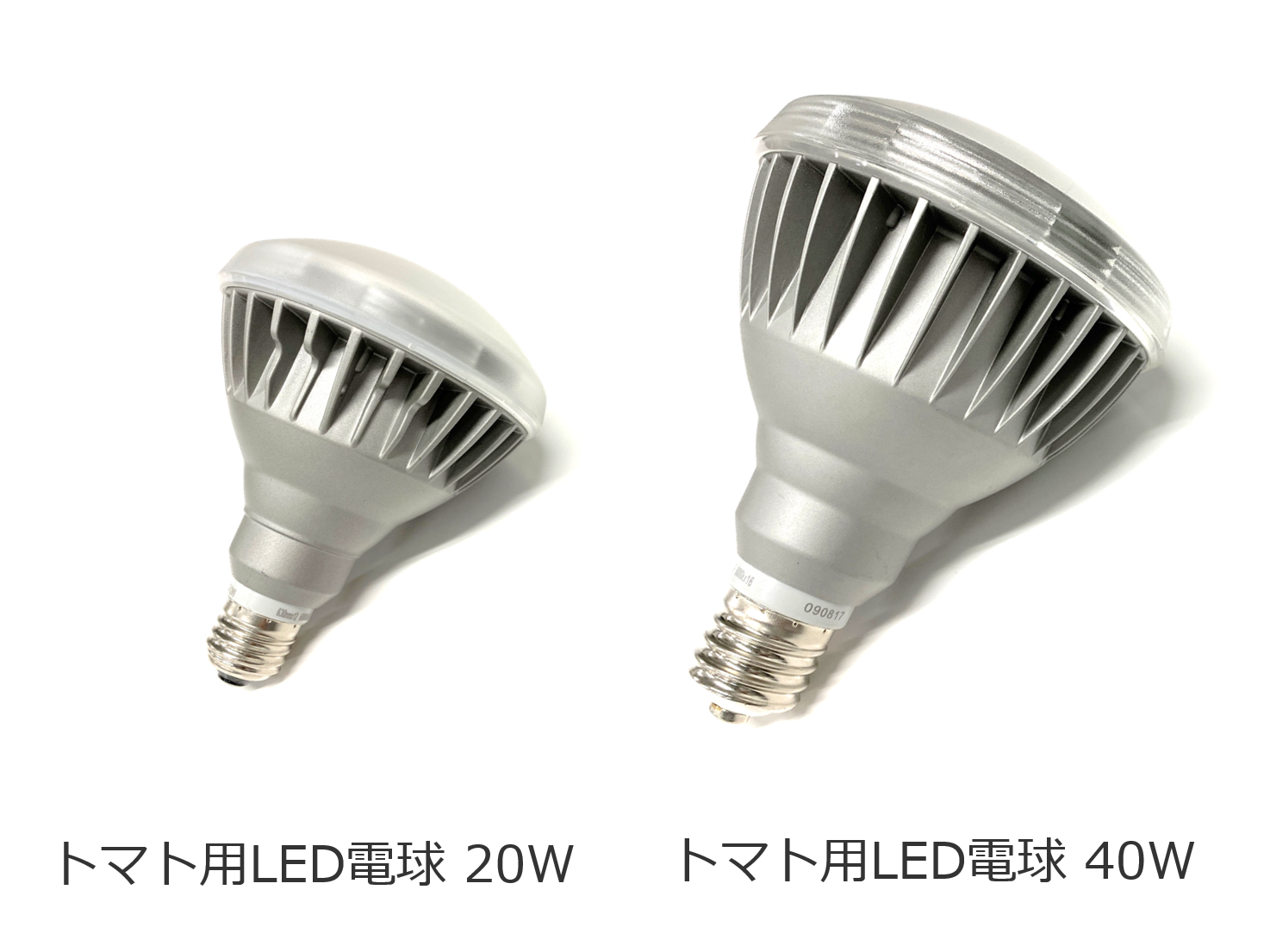 トマト用led電球 トマト補光用led電球 セイコーエコロジア