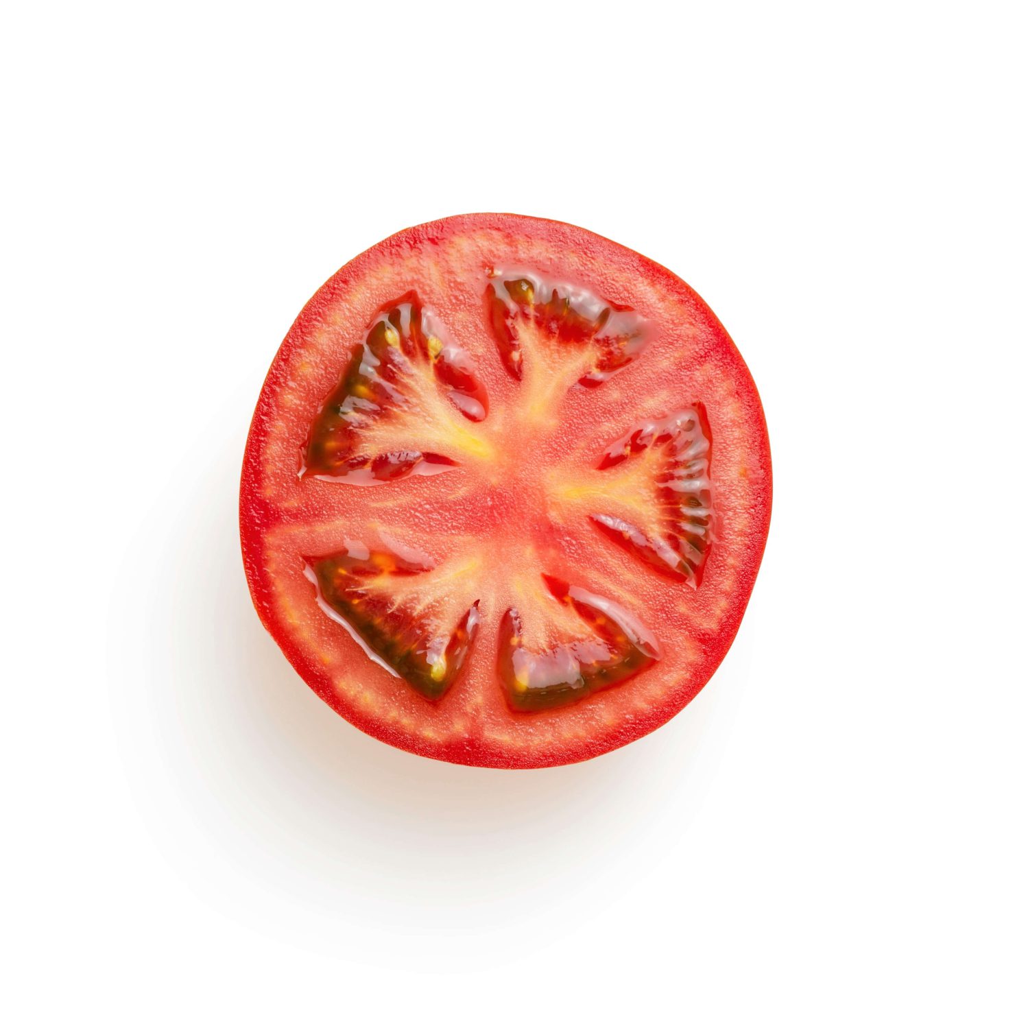 トマトの根っこを元気に育てる｜定植時に注意すべきポイントとは？