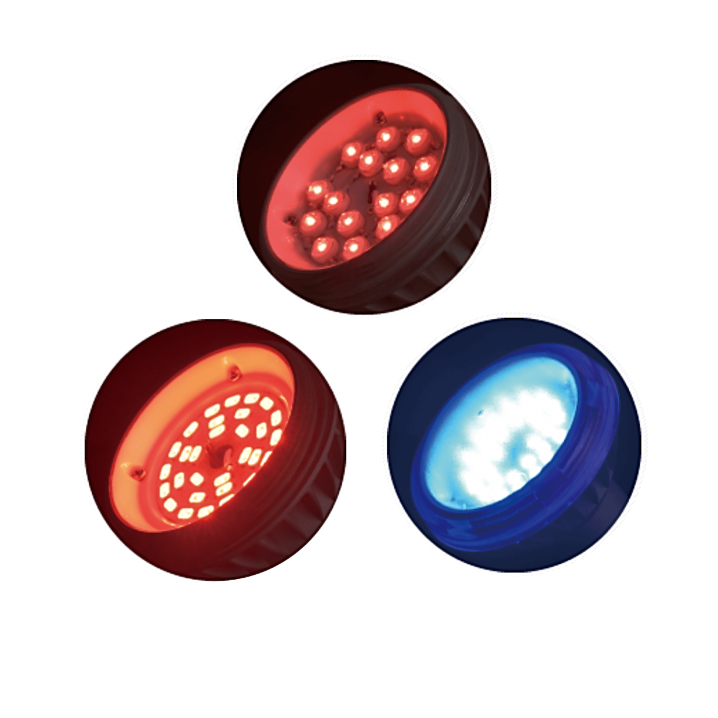 植物実験向けのLED電球をご紹介!!｜赤色光、青色光、遠赤色光が植物に及ぼす影響
