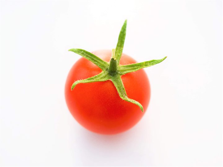 トマトを生理障害から守れ 障害の種類と対策について コラム セイコーエコロジア