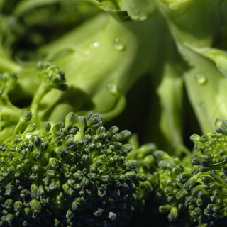 食中毒防止と鮮度維持に役立つ出荷前の野菜洗浄とは？