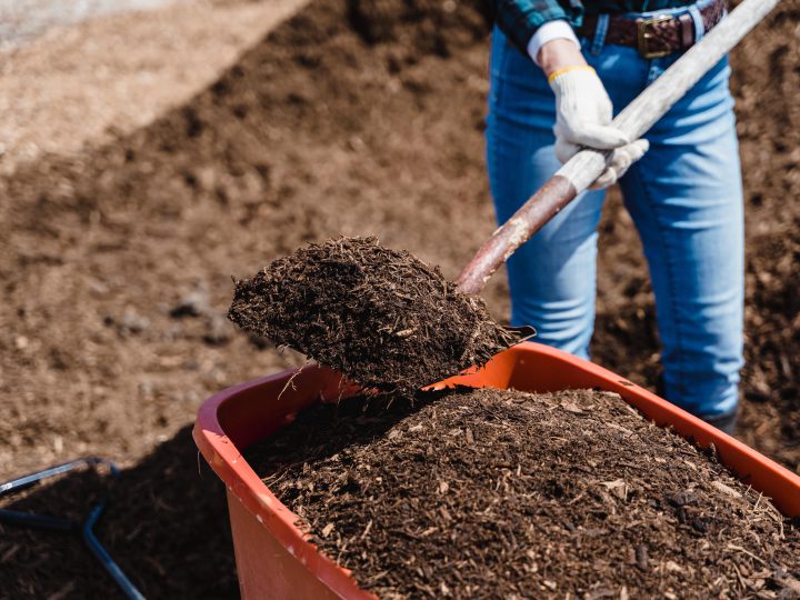 連作障害の基礎知識と対策に関して 最適な肥料と土壌改良材をご紹介 コラム セイコーエコロジア