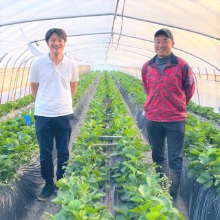 チップバーンが1/3程度まで減りました！ナノバブル水製造装置の効果を実感｜鎌田充貴さん