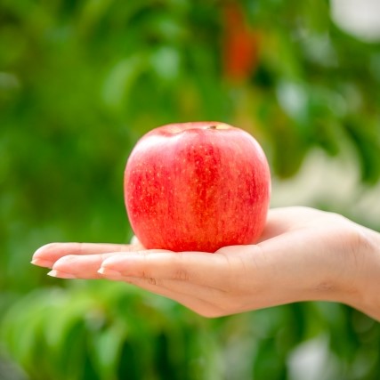 りんご栽培に最適な肥料をご紹介｜美味しいりんごを収穫しよう
