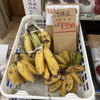 日本のバナナ、特に沖縄の島バナナに迫る