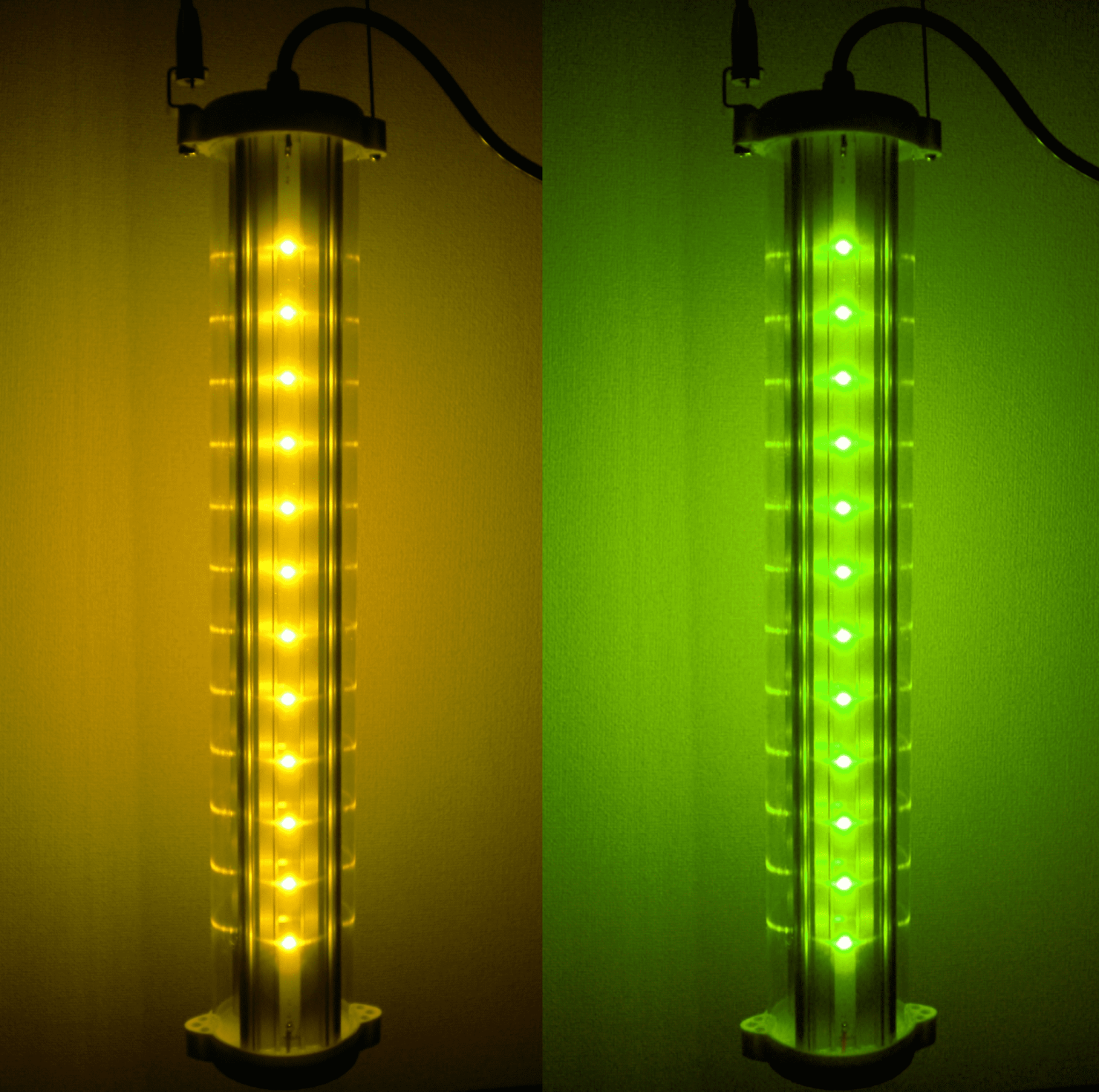 LEDで虫除けが出来る？|昆虫と光の不思議な関係