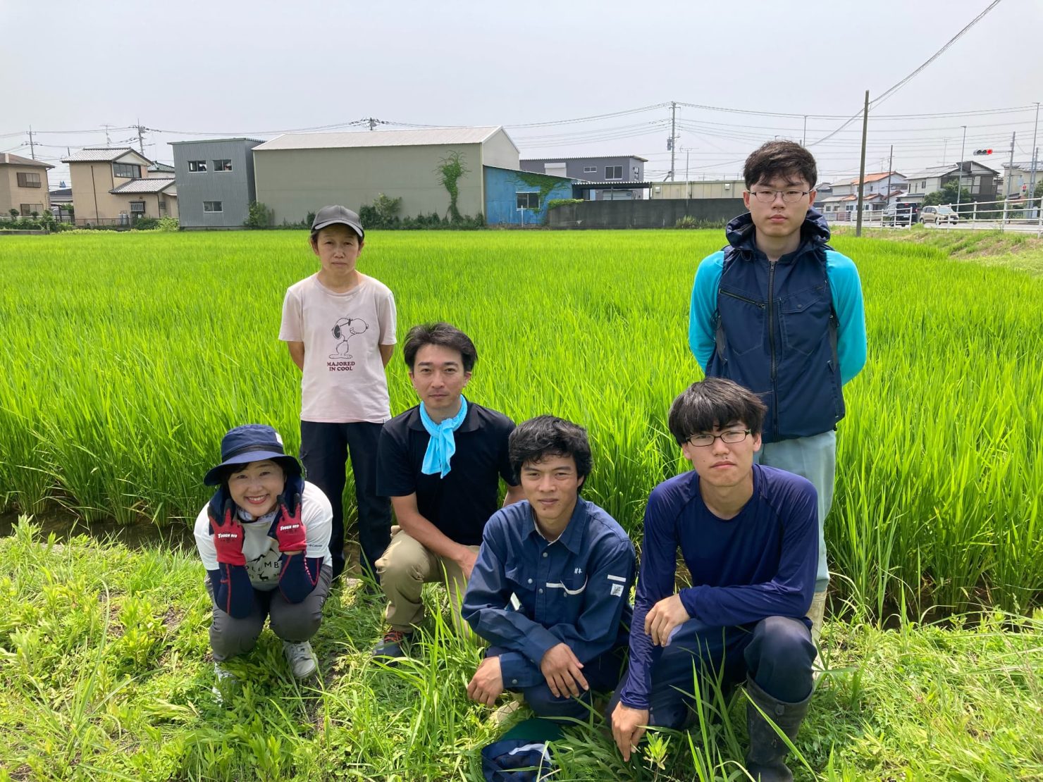 導入事例：キンコンバッキー（イメージ）