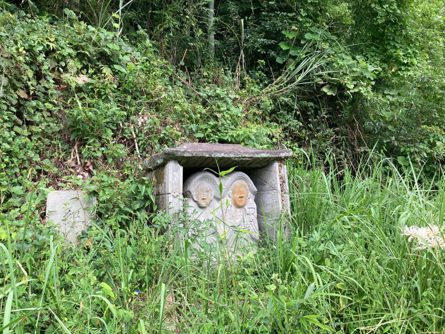 導入事例:キンコンバッキー(イメージ)