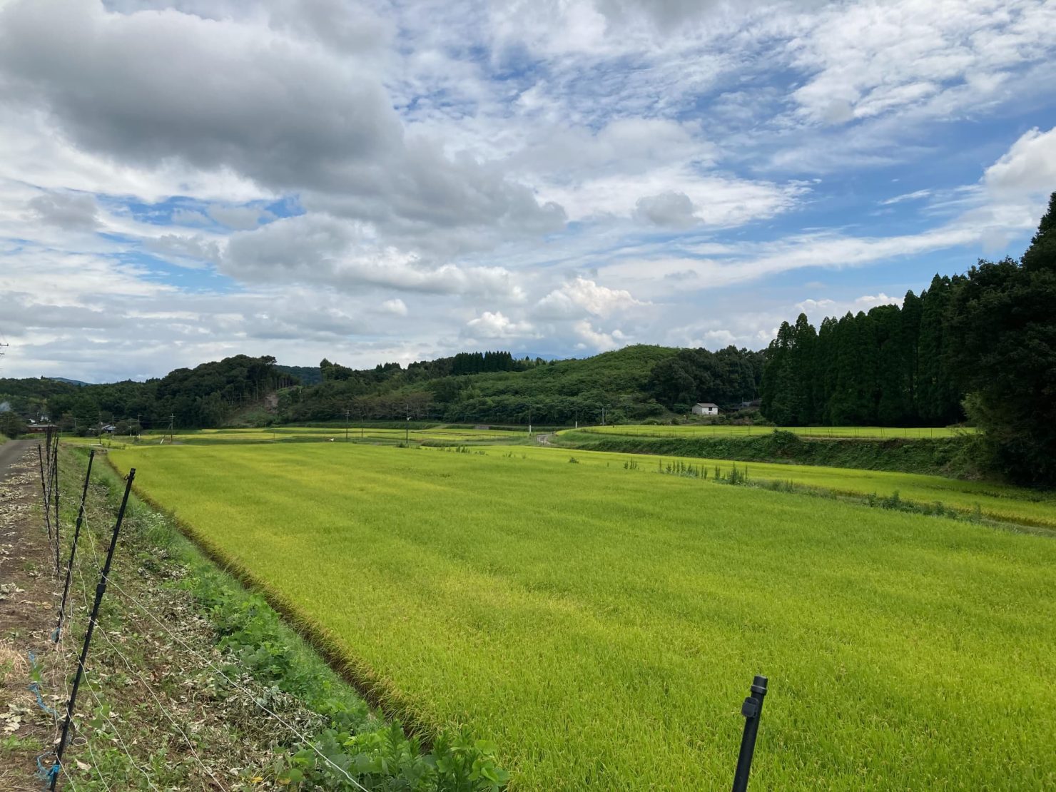 導入事例:キンコンバッキー(イメージ)