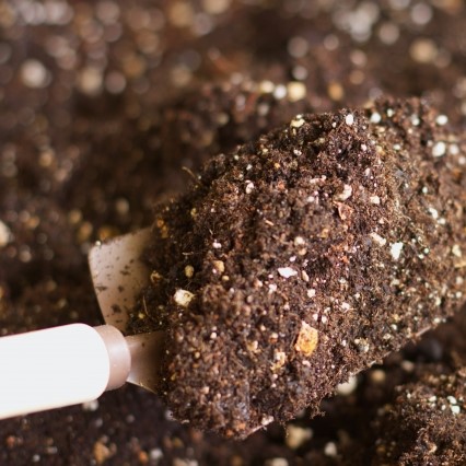 土壌の緩衝作用について、土壌コロイドとの関係とは？