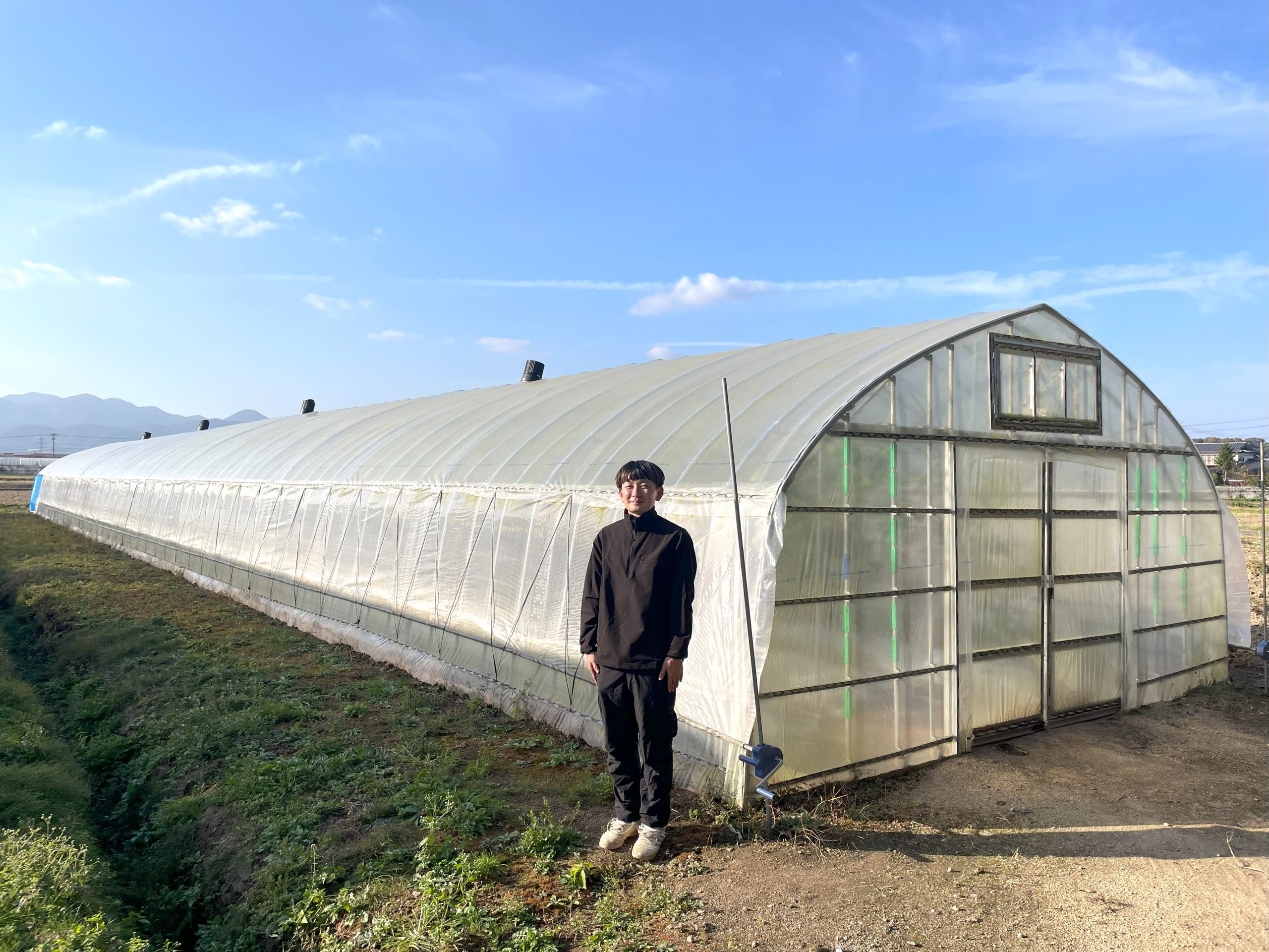 空動扇SOLARの導入でハウス内が3～4℃低くなりました！ビニールの