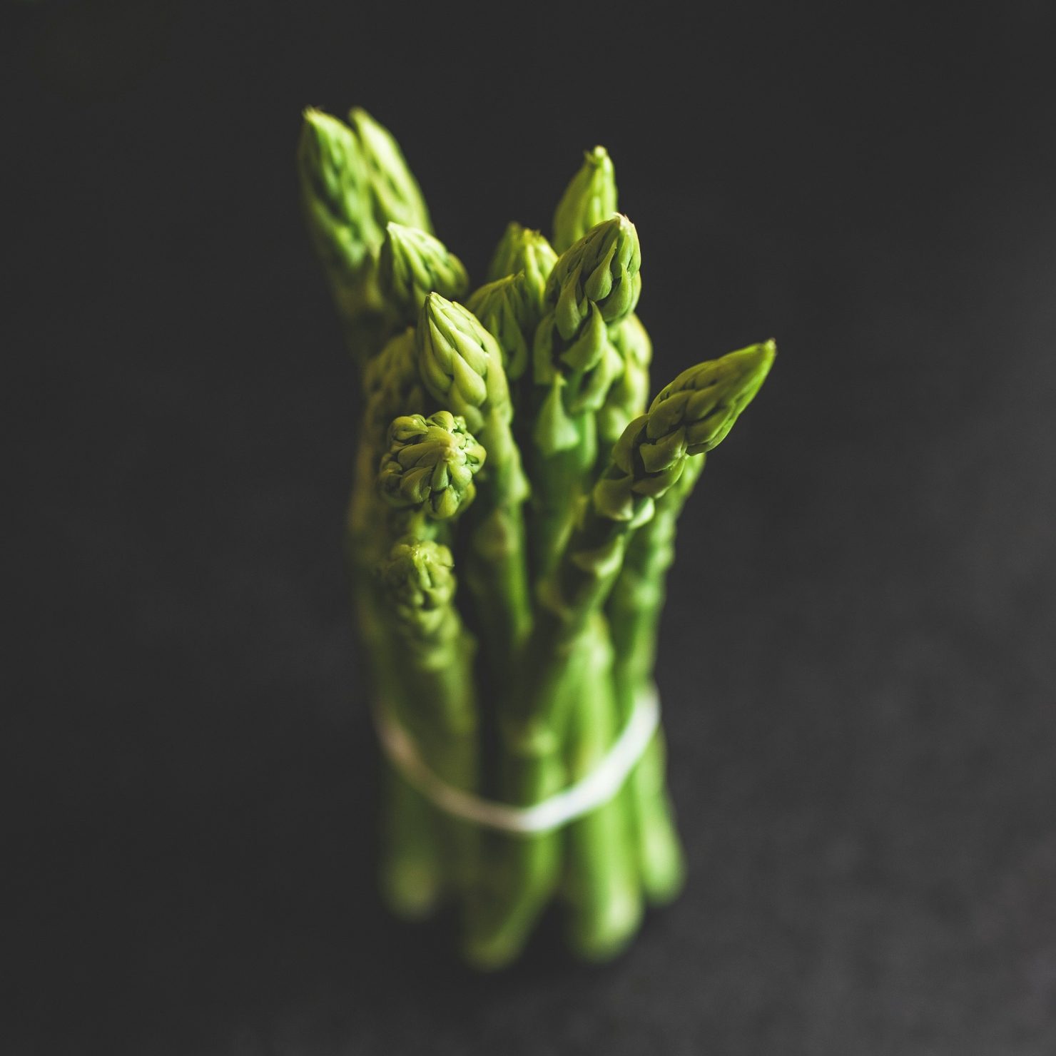 ハウス栽培でアスパラガスを一年中収穫するための基礎知識