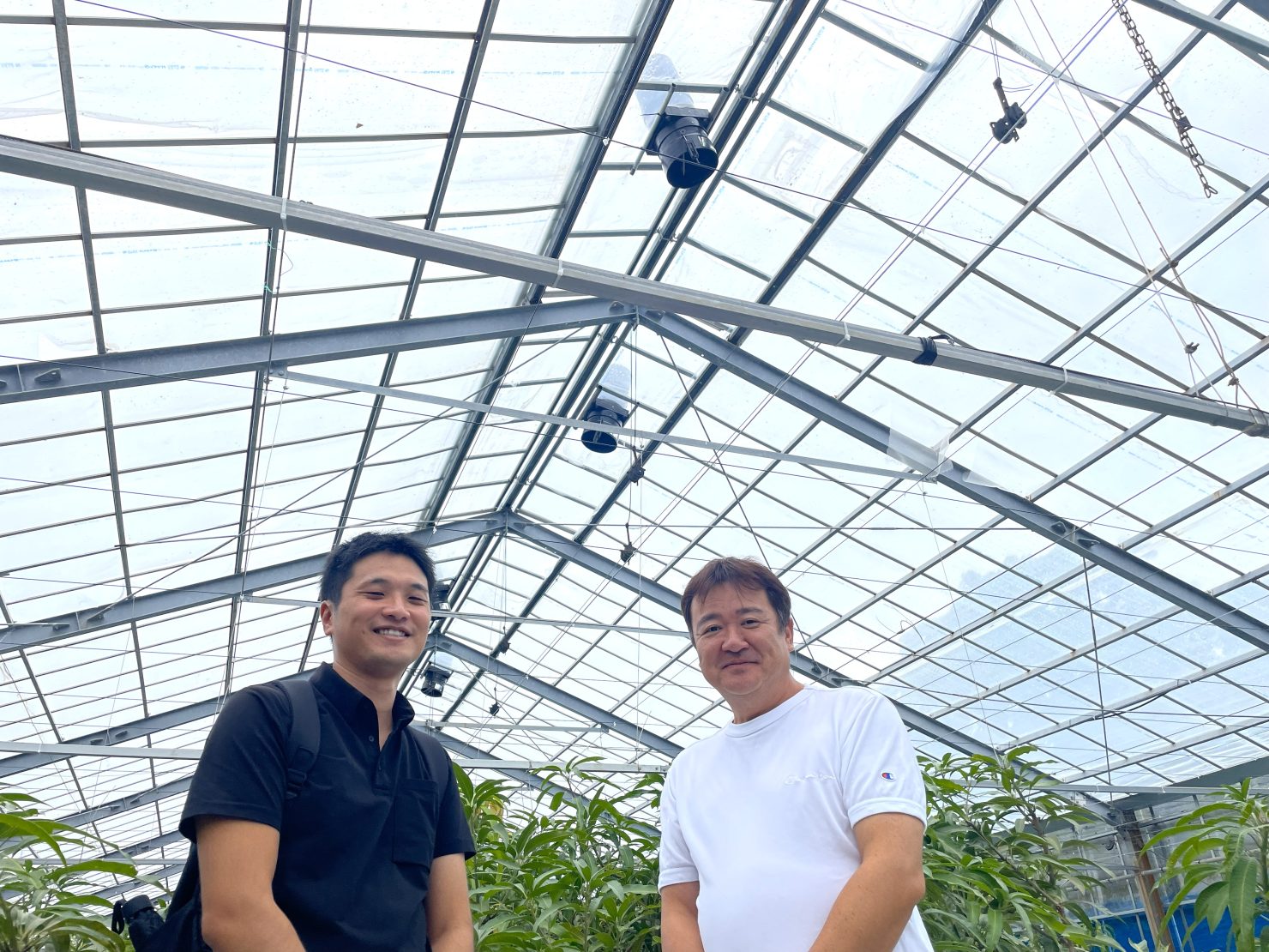 空動扇/空動扇SOLAR｜電力不要のビニールハウス専用換気扇｜セイコー