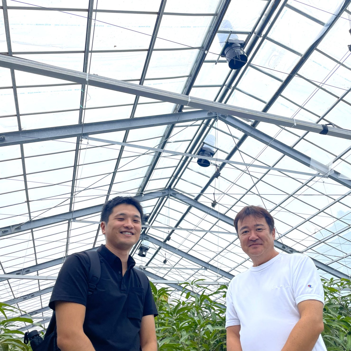 空動扇/空動扇SOLAR｜電力不要のビニールハウス専用換気扇｜セイコー